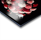 Carnations in full black background2 Acrylic print