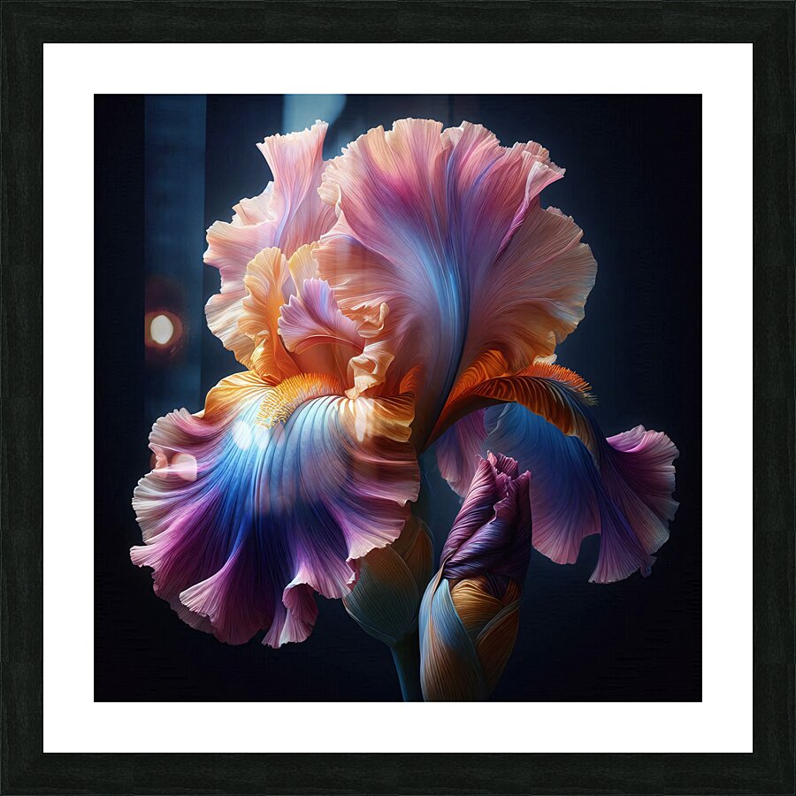 Iris 15 Picture Frame print