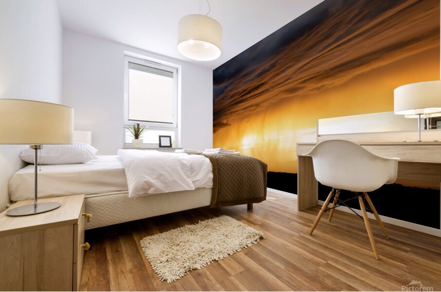 Skyline Mural print