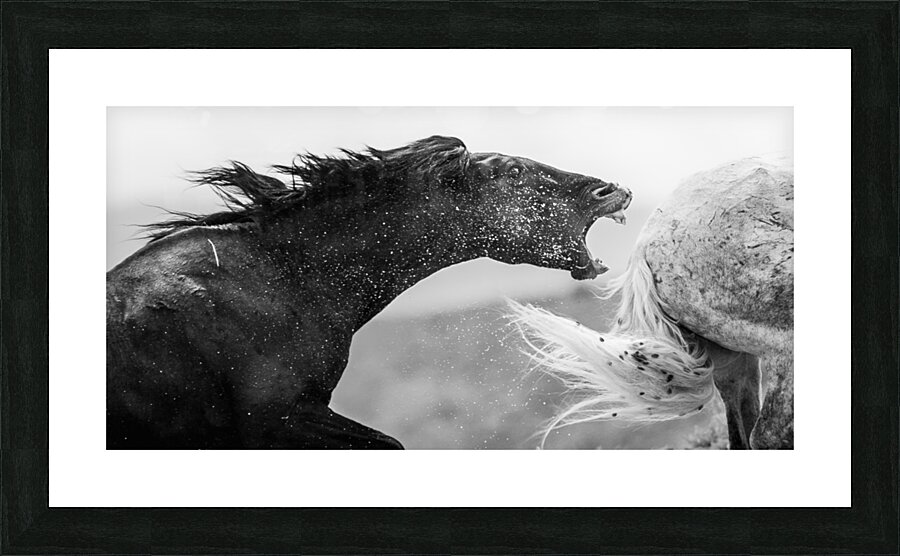 Kia and Ace-The Bite Picture Frame print