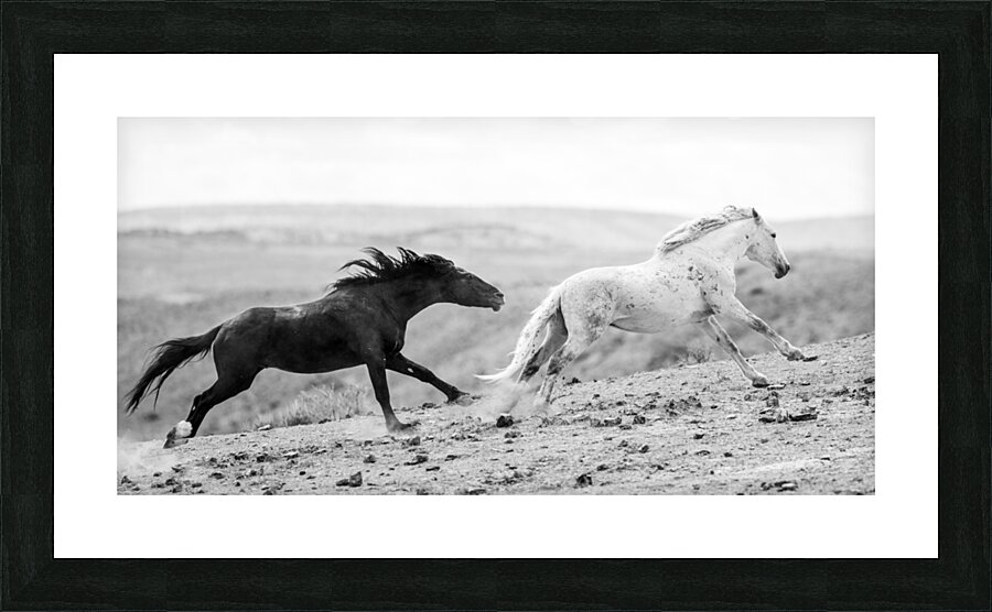 Kia and Ace-The Chase Picture Frame print