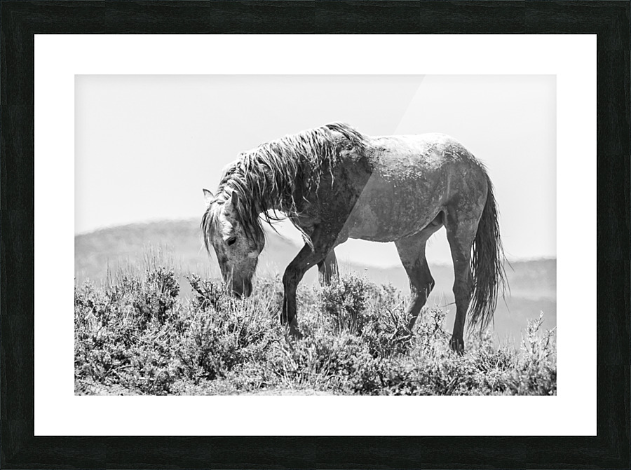 Preparing for Battle Right Picture Frame print