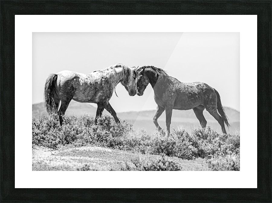 Preparing for Battle Center Picture Frame print