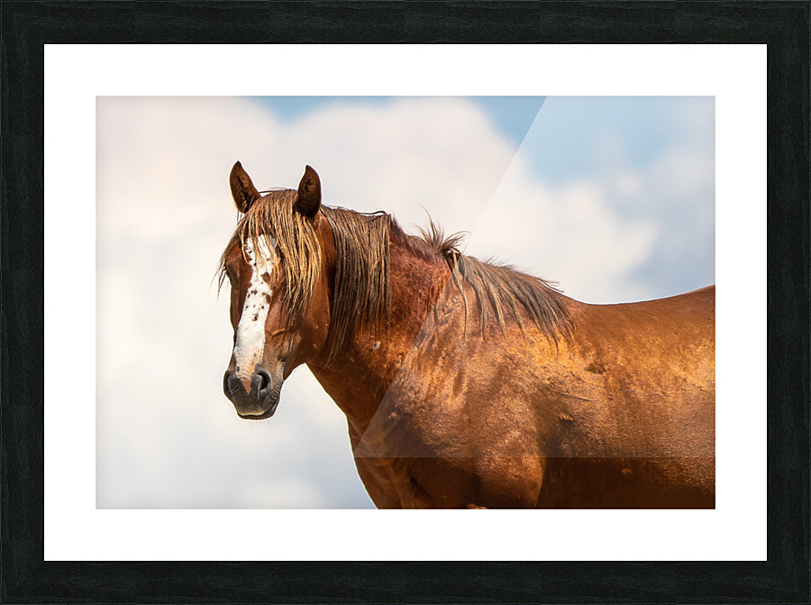 Merlin in the clouds Picture Frame print