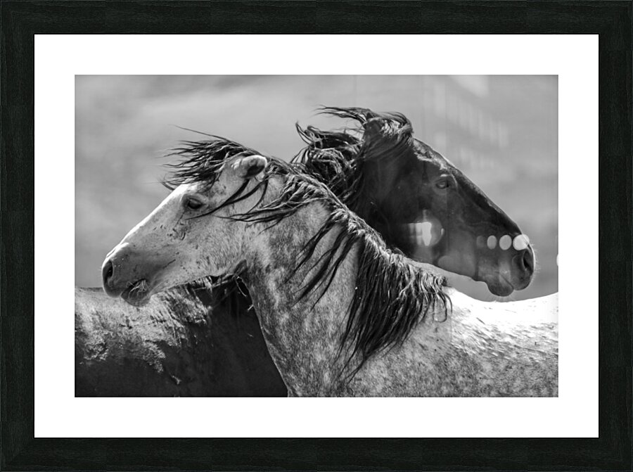 Jake and Char Picture Frame print