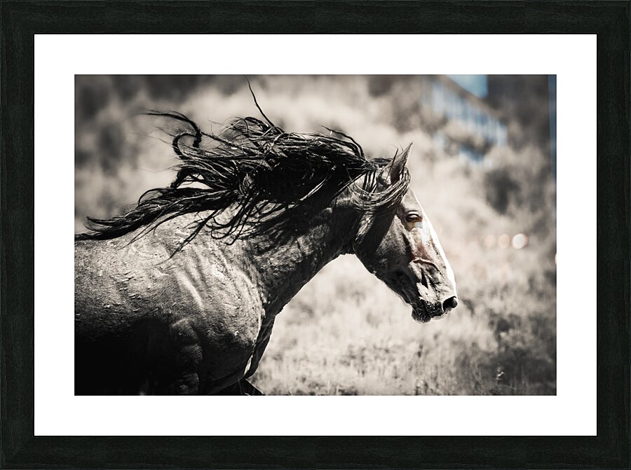 Lightfoot Picture Frame print