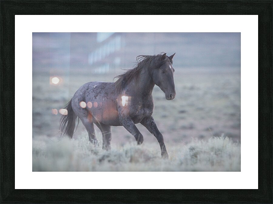 Midnight Blue Hour Picture Frame print