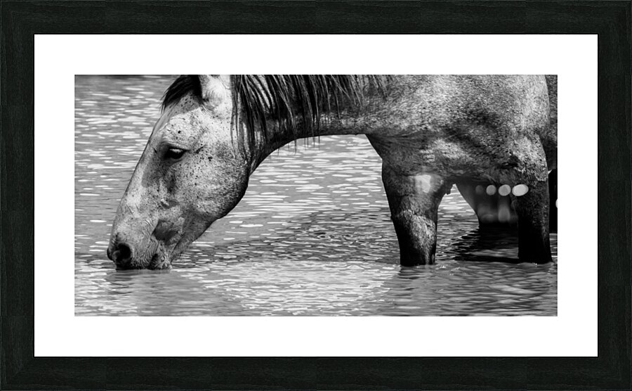 Legend Picture Frame print