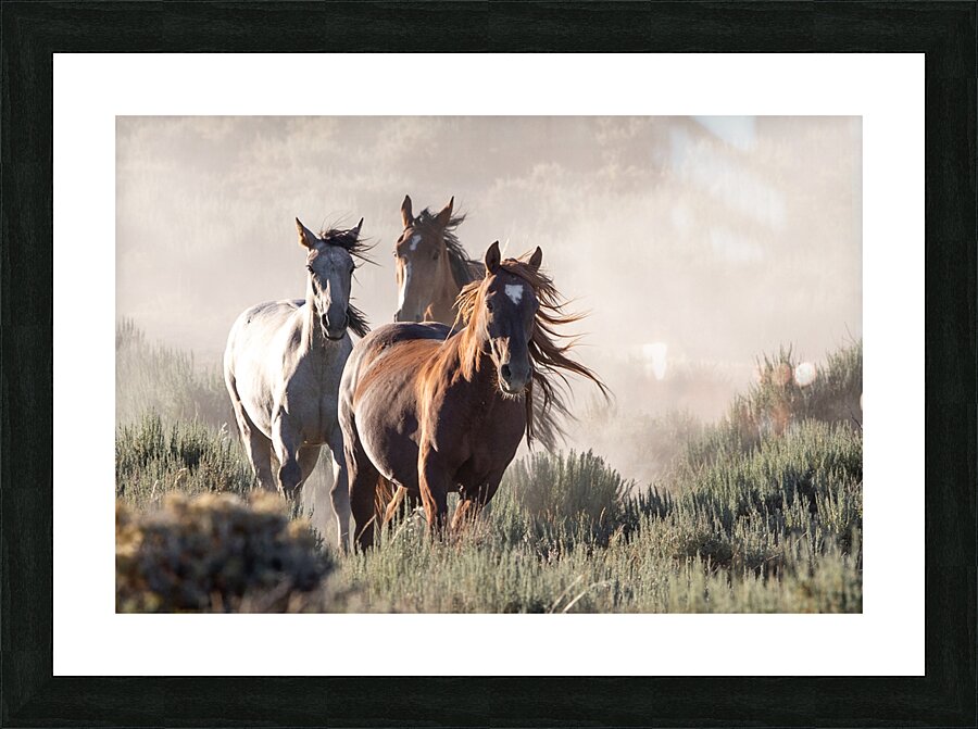 Through The Dust Picture Frame print