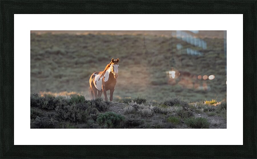 In The Light Picture Frame print