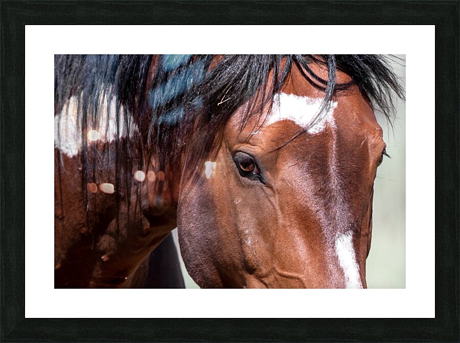 Wizard Eyes Picture Frame print