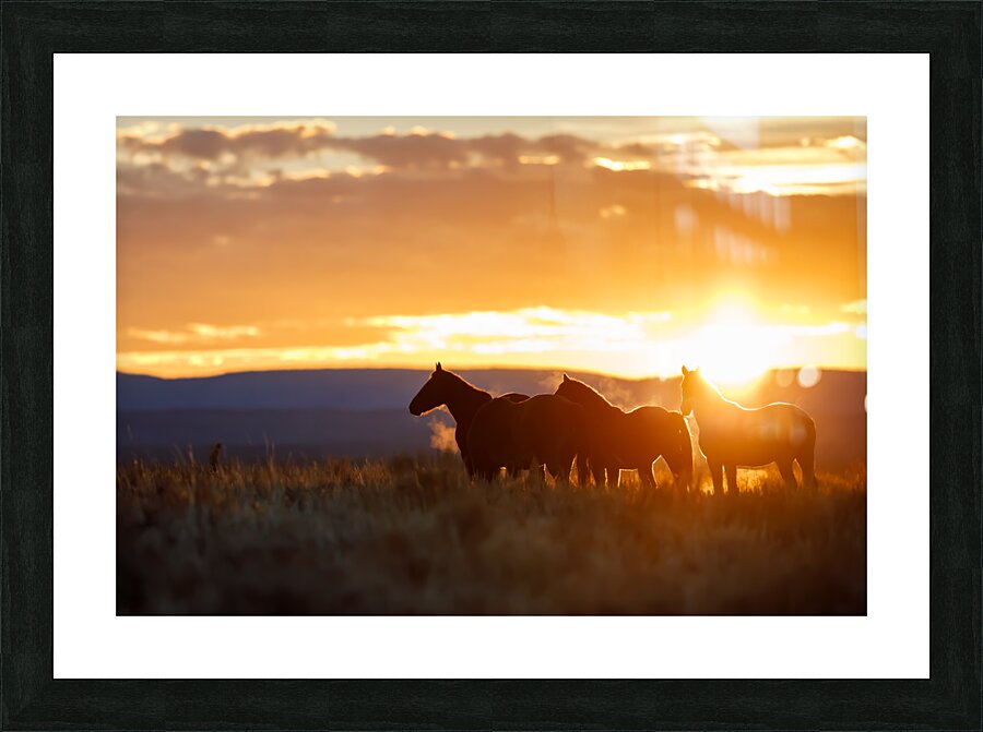 Morning Chill Picture Frame print