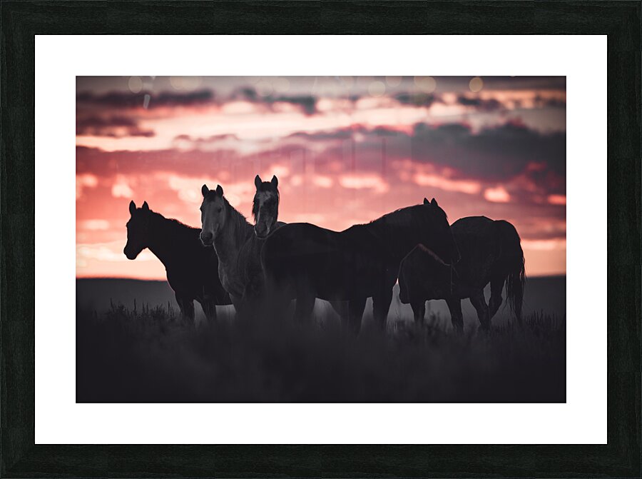 Pink Skies Picture Frame print
