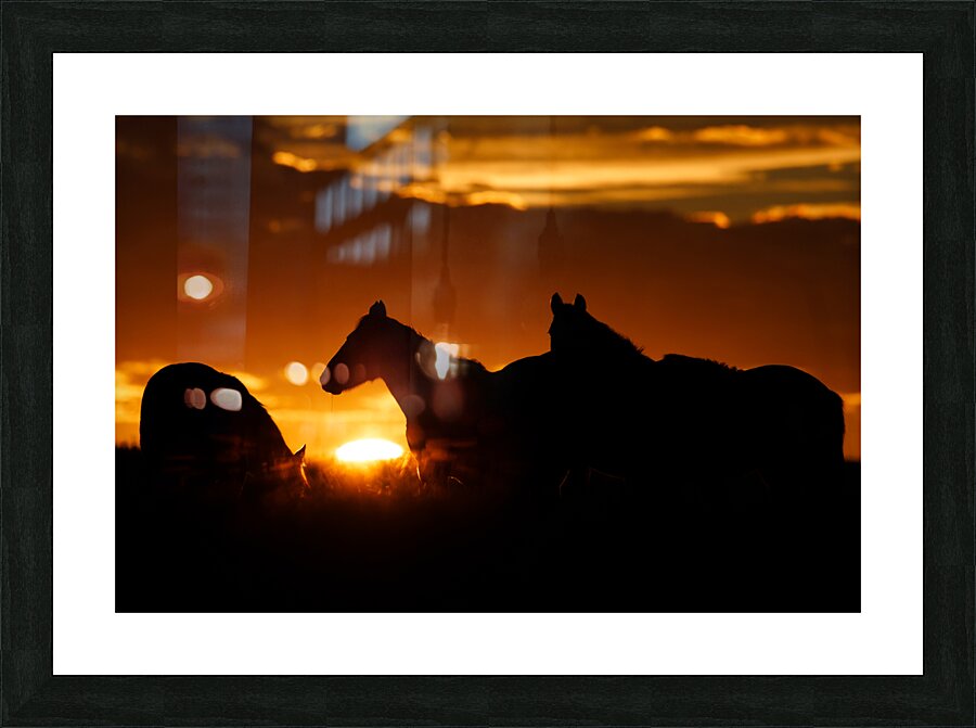 Sunrise Silhouette Picture Frame print
