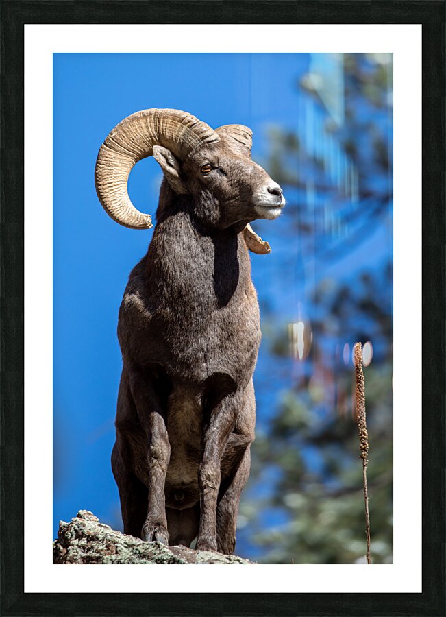 Colorado Epic Picture Frame print