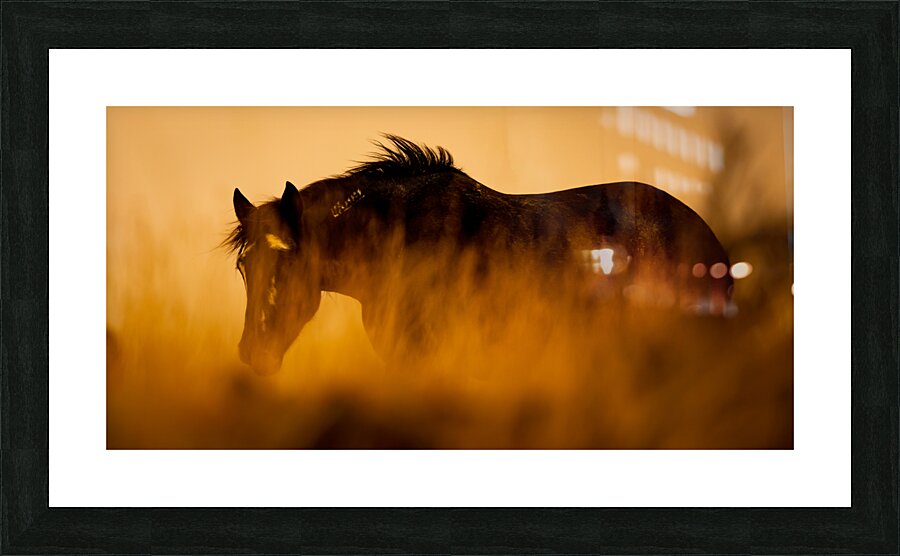 Freeze Brand Fire Picture Frame print