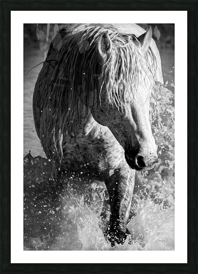 Making Waves Black and White Picture Frame print