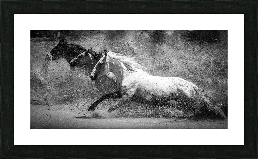 Dash and Splash Picture Frame print