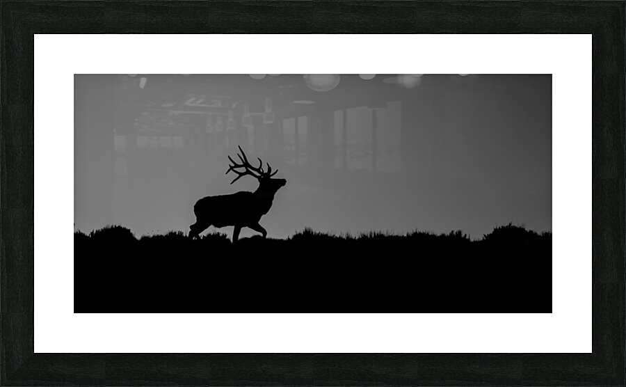 Antlered Horizon Picture Frame print