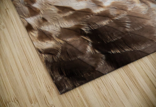 Rough Legged Hawk Weekend Vibes Photography puzzle