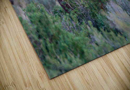 Merlin Weekend Vibes Photography puzzle