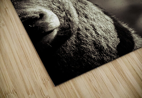 Bighorn Eye Weekend Vibes Photography puzzle