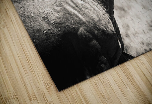Lightfoot Weekend Vibes Photography puzzle