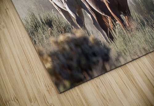 Through The Dust Weekend Vibes Photography puzzle