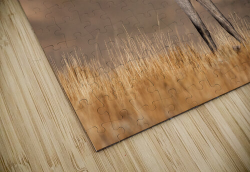 Sable Weekend Vibes Photography puzzle