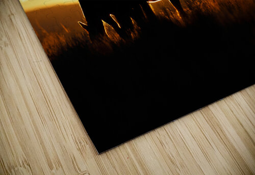 Silhouette Weekend Vibes Photography puzzle