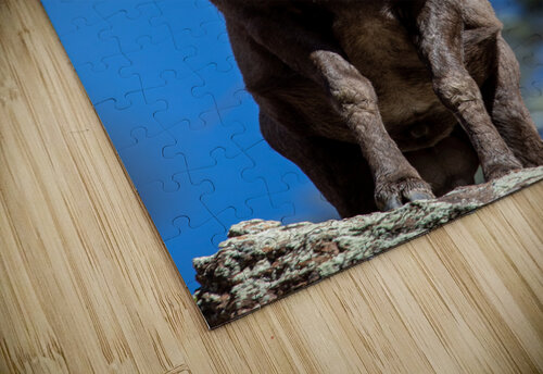 Colorado Epic Weekend Vibes Photography puzzle