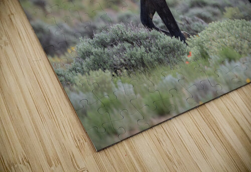 Badger Weekend Vibes Photography puzzle