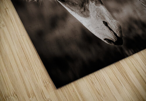 Meteor In Motion Weekend Vibes Photography puzzle