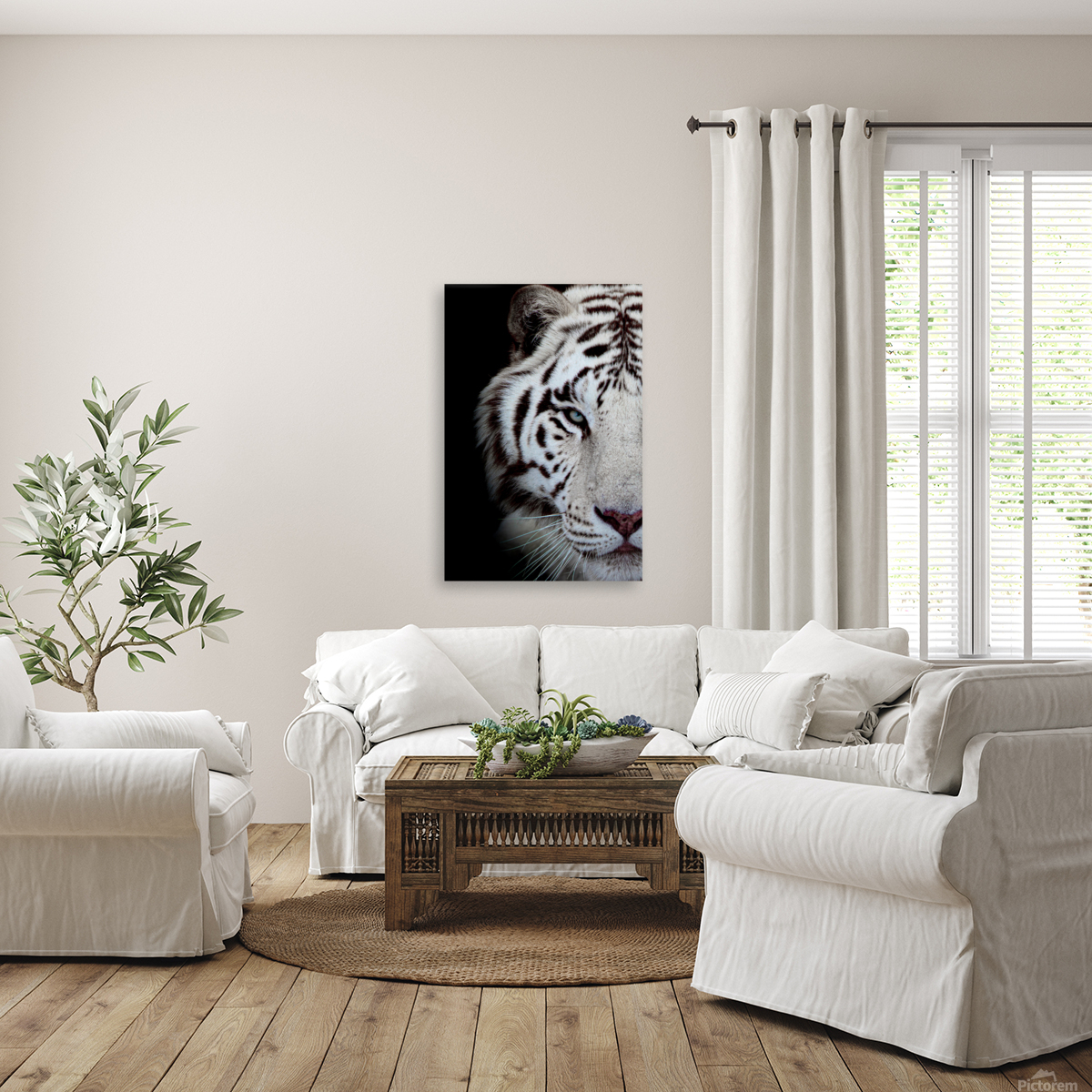 Tigers Eye Reproduction