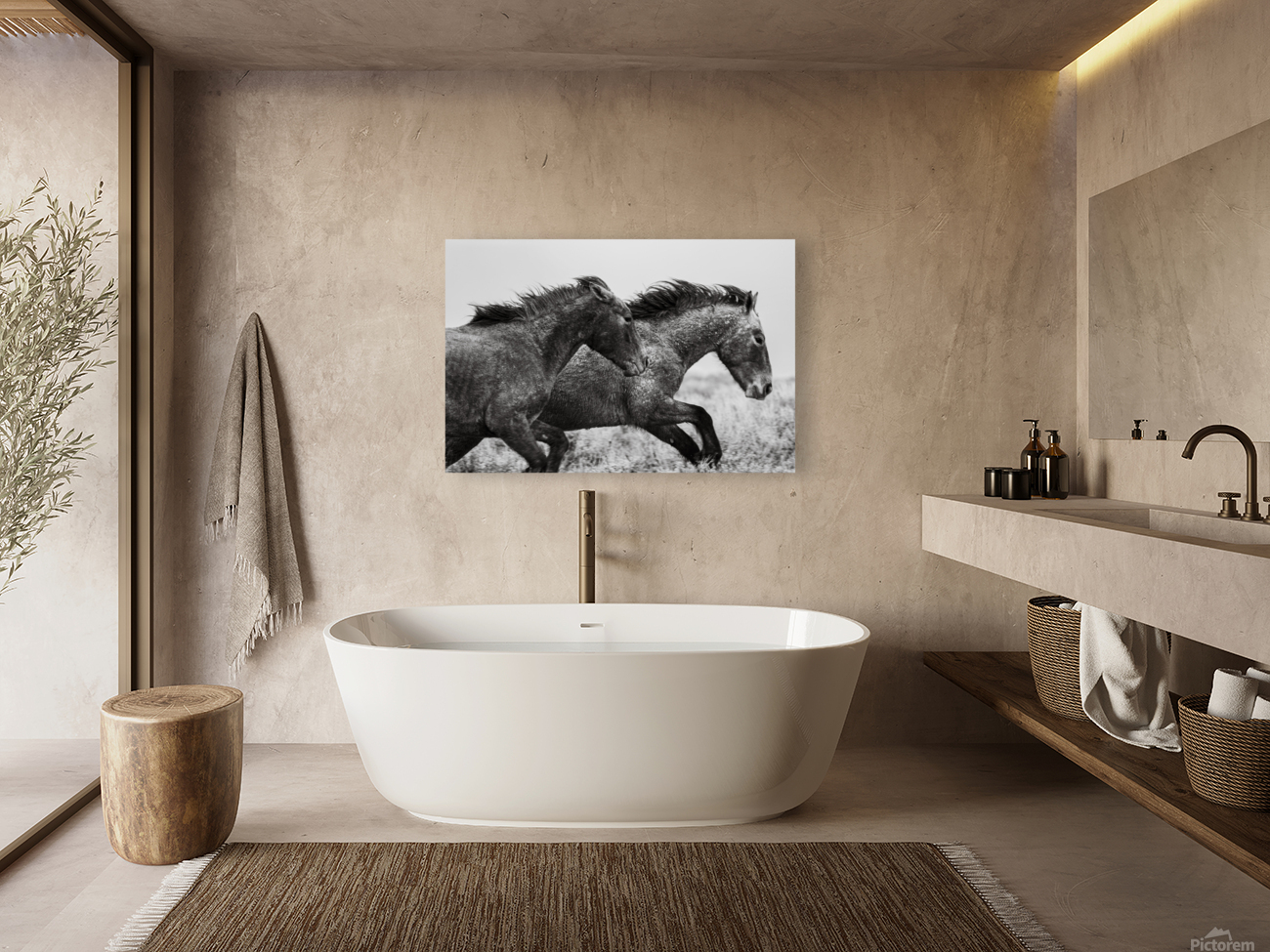 Wild Mustangs Reproduction