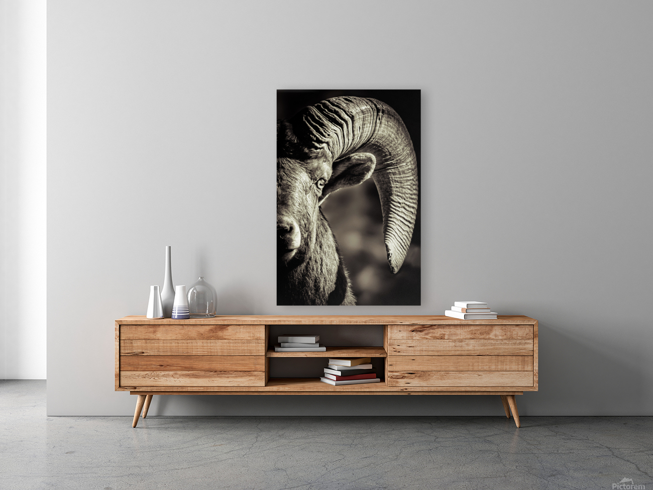 Bighorn Eye Reproduction
