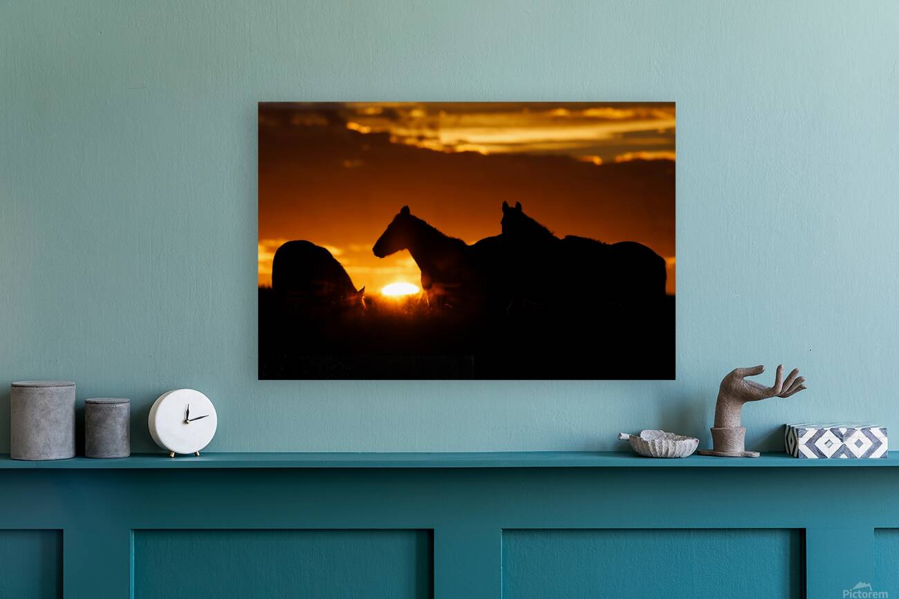 Sunrise Silhouette Reproduction