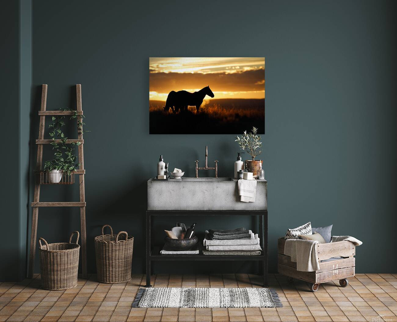 Silhouette Reproduction