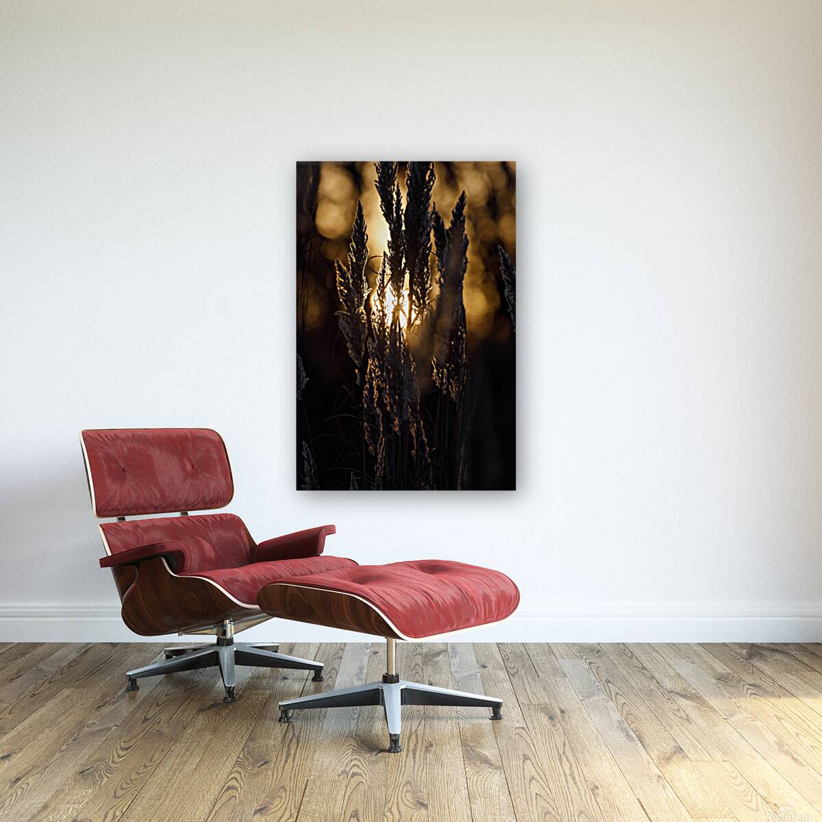 Golden Wheat Reproduction