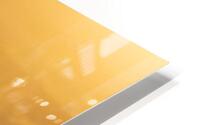 Wild Gold HD Metal print