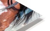 Wizard Eyes HD Metal print