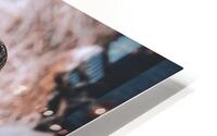Eye Catching HD Metal print