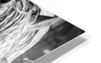 Making Waves Black and White HD Metal print