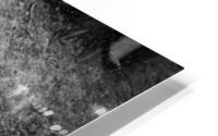 Dash and Splash HD Metal print