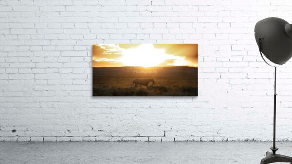 Bobby Wall Preview