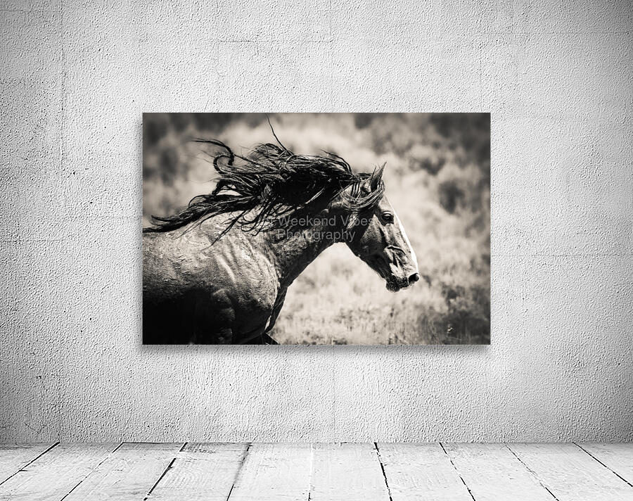 Lightfoot Wall Preview