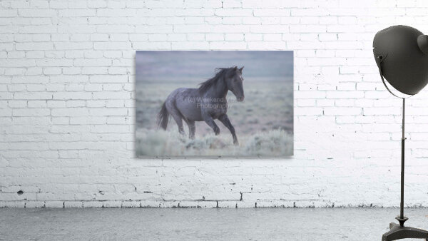 Midnight Blue Hour Wall Preview