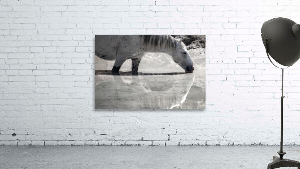 Reflection Wall Preview