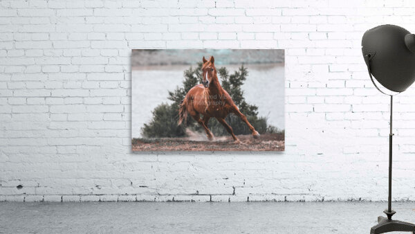 Flicky On The Move Wall Preview