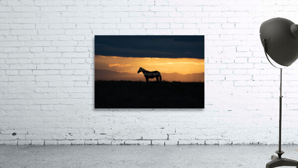 Light Prancer Wall Preview